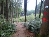  Blick auf die Wanderstrecke 